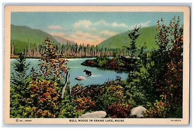 1939 View Of Bull Moose River Grand Lake Maine ME Posted Vintage Postcard • $9.98
