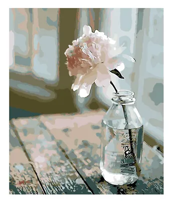 £4.99 • Buy DIY Paint By Numbers Flower In Bottle 16x20 Inch  Canvas Adult Art