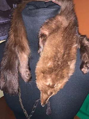 £45 • Buy Vintage Fox Fur Stole