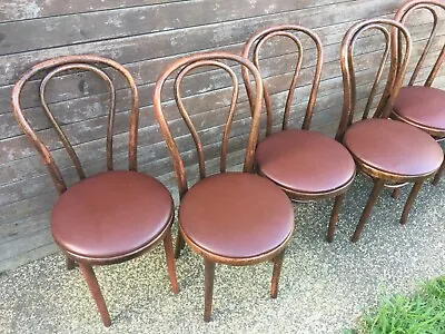 $600 • Buy 6 ZPM Radomsko Poland Vintagewalnut Bentwood No.18 Chairs