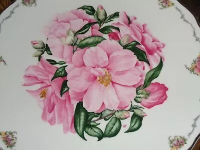 Royal Albert Collectors Plate CAMELLIA - THE QUEEN MOTHERS FAVOURITE FLOWERS • £10.99