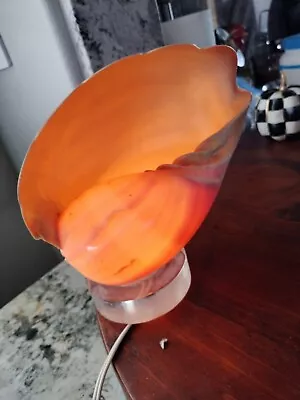 Vintage 1950's Sea Shell Lamp Conch Shell Table Lamp With Lucite Base • $49.99