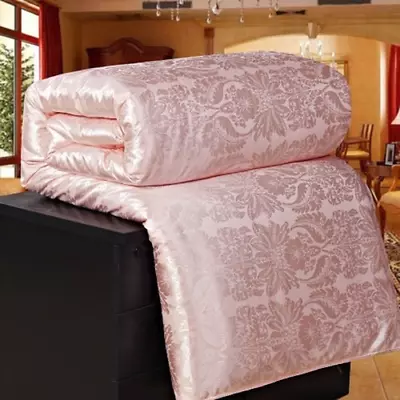 Summer Winter Silk Quilt Comforter Duvet Filling Natural/Mulberry Silk Blanket • $57.94