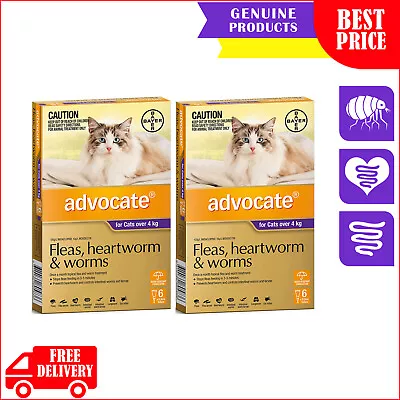 ADVOCATE Heartworm Flea Worm Control 12 Pipettes PURPLE Pack For Cats Over 4 Kg • $175.96