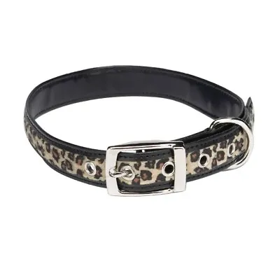 $8.99 • Buy Leopard With Black Animal Print Dog Collar By Zack & Zoey In 5 Sizes