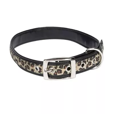 Leopard With Black Animal Print Dog Collar By Zack & Zoey In 5 Sizes • $8.99