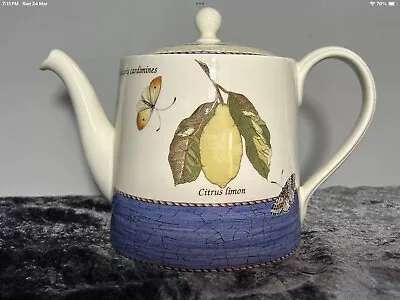 Wedgewood Sarah’s Garden Queensware Large Teapot 16cm Blue 1997 • $90