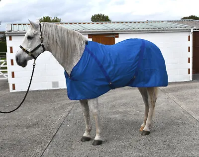 NEW Rhinegold Horse Pony Cotton Summer Sheet Stable Under Rug Blue Raspberry • £19.99