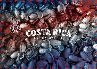 Costa Rica Nahua Maleku Cacao Cocoa Beans • £15