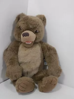 Kid Power Maurice Sendak Little Bear Electronic Stuffed Plush Giggles Laughs • $21.99