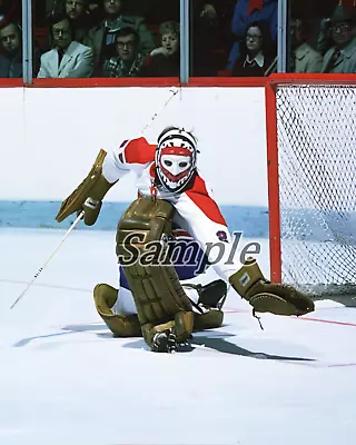 Montreal Canadiens Goalie Ken Dryden Game Action Color 8 X 10 Photo Picture • $5.59