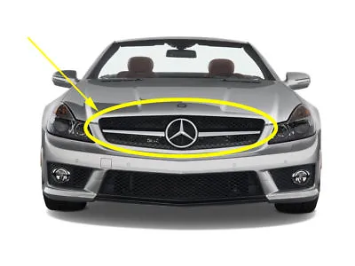 Mersedes-benz R230 Sl-class Grille Assembly Sl550 Sl63 09-11 New Sl Genuine • $586.84