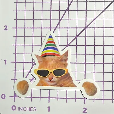 Birthday Hat Sunglasses Kitty 2 - Vinyl Sticker Decal Sticker Bomb Humor Funny • $4.99