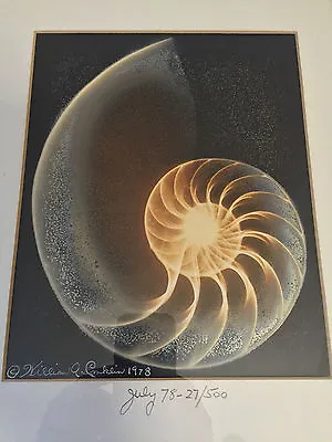 William A. Conklin X-Ray  & Color Photo Diptych Chambered Nautilus Studio TORNO • $1200
