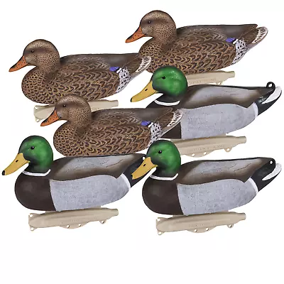 DUCK HUNTING DECOYS FLOATERS Mallard- 6 Pack- 14 Inch Height- Realistic Plumage • $62.25