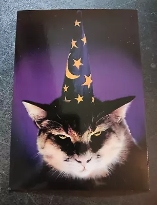 Vtg Postcard Jan Van Der Horn Angry Magician Kitten Cat Photography Art • $9.95