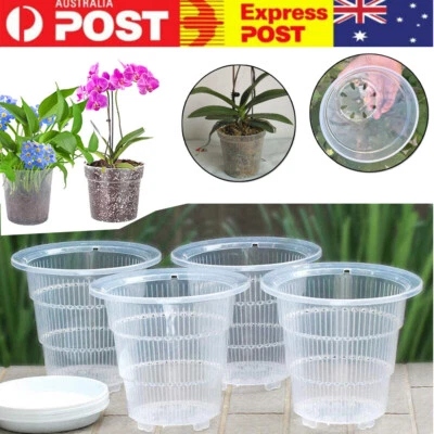 Clear Plastic Orchid Pots With Holes Transparent Flower Pot Succulents Plant • $14.99