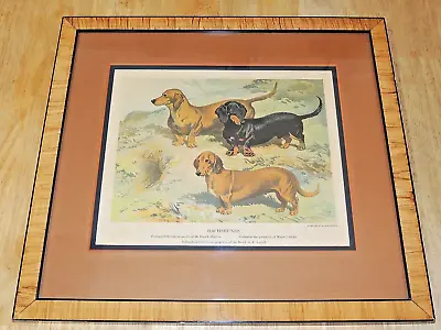 Framed Matted Print  Dachshunds  By Hugh Evelyn Of Dog Owners From The 1800's • $28.50