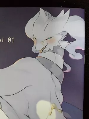 Doujinshi POKEMON Reshiram Floatzel Etc. (A5 16pages) Keitai Illustration Vol.1 • $69.99