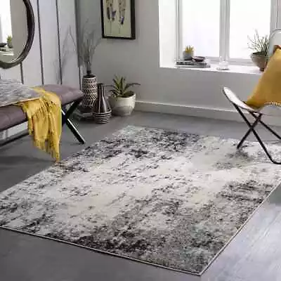 Area Rugs 5x7 Modern Living Room 8x10 Large Bedroom Carpet Farmersburg Gray Rug • $215