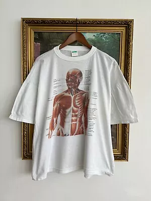 Vintage 90s Human Anatomy Muscle 1989 Kurt Cobain Nirvana White T-shirt Sz XL • $175