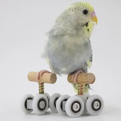 Pet Parrot Mini Roller Skates Toys Small Bird Play Gym Activity Foot Toy • $19.45