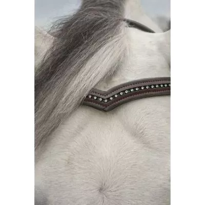 KL Select KL Italia Pirouette V-Shaped Browband • $66