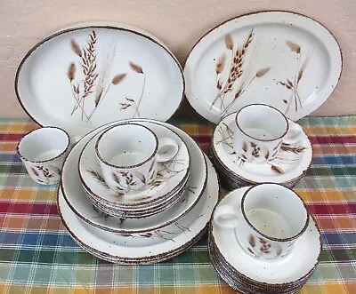 Midwinter Stonehenge By Wedgwood  Wild Oats    *by The Piece** • $5.25