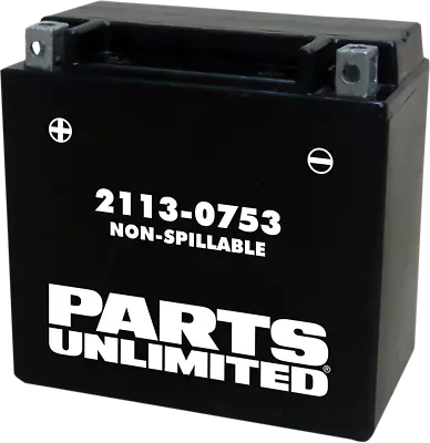 PU AGM Maintenance Free Battery YTX14 BMW R1200GS 05-13 • $89.95