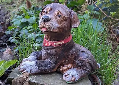 Cute Brown Puppy Dog Garden Ornament Statue Concrete Hand Painted Indoor Outdoor • £14.99