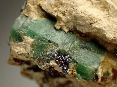 $180 • Buy EMERALD With MOLYBDENITE * VERY RARE !!! Campo Formoso, Bahia, BRAZIL