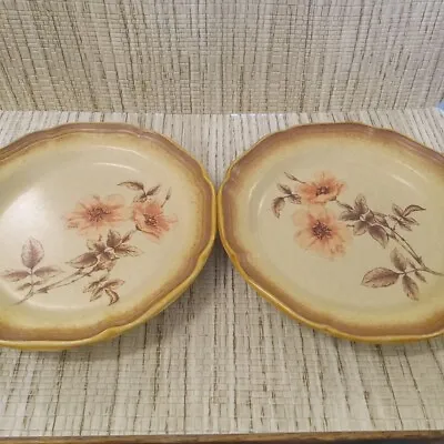 Mikasa Whole Wheat Salad Plates 8  E8015 Set Of 2 Japan Vintage Rose Duet  • $12