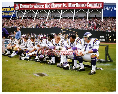 NFL Minnesota Vikings Purple People Eaters On The Bench Color 8 X 10 Photo Pic • $5.59