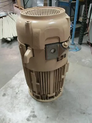 Westinghouse Life-Line T Vertical Mount AC Motor 773B667G02 30HP 1200RPM Used • $600