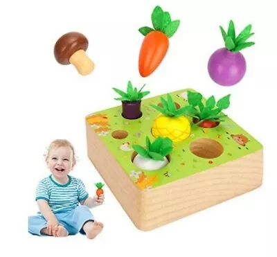 £11 • Buy Wooden Vegetable Shape Sorter Educational 