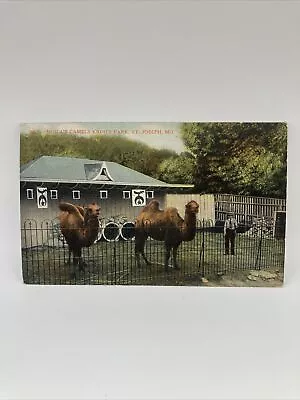 Vintage Postcard Moila’s Camels Krug’s Park St. Joseph Missouri  • $2.99