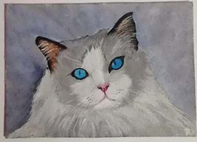 ACEO Original Painting  Animal Cat  Art Card  Hand Painting • $0.99