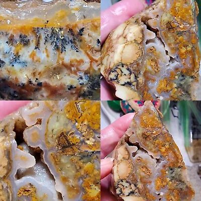 Woodward Ranch Banded Plumes Dendrites Agate Alpine Texas 165g Rough Lapidary  • $89