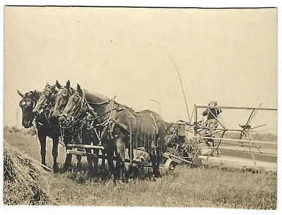 £22.41 • Buy Old Photograph Horse Drawn Plow Approximately 3.5 Inches By 2.5 In
