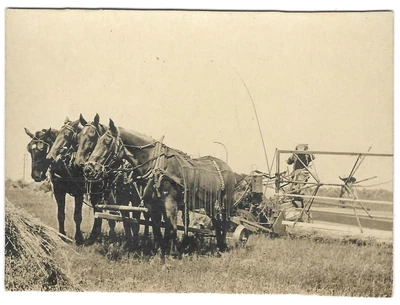 £22.41 • Buy Old Photograph Horse Drawn Plow Approximately 3.5 Inches By 2.5 In