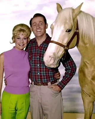 Mr Ed Tv Series Connie Hines Arm Around Alan Young With Ed 8x10 PRINT PHOTO • $6.98