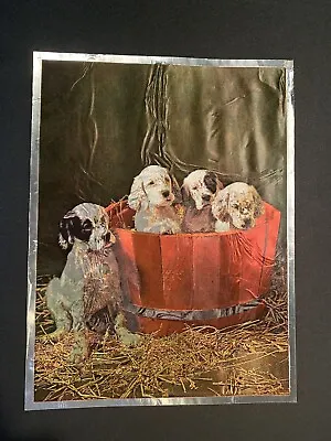 Vintage Dufex Foil Print Puppies In A Barrel 8x6  FJ Warren England W5242 • $2.99