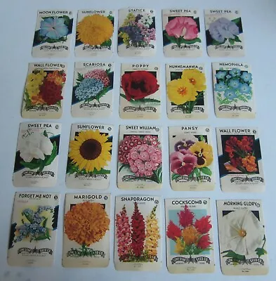 Lot Of 20 Old Vintage 1940's FLOWER SEED PACKETS - Lone Star - TEXAS - EMPTY • £18.99