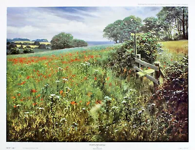 David Dipnall  Poppy Meadow  Green Fine Art Print Collectible Fine Print • £14.99