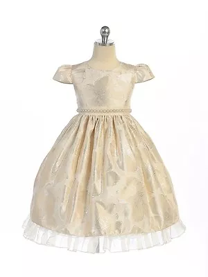 Gorgeous Champagne Ivory Brocade Pageant Flower Girl Dress Crayon Kids USA • $56.95