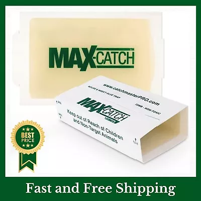 Mice Glue Traps Pest Sticky Boards 36 Pcs Trap Catch Spiders Snakes Insects Rats • $26.85