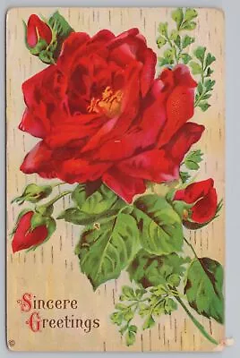 Greetings~Stecher~235 A~Sincere Greetings~Beautiful Big Rose & Buds~Vintage PC • $2.80