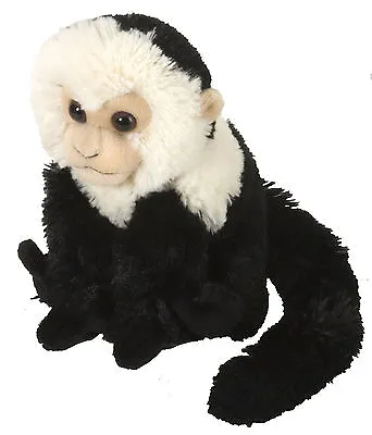 £10.95 • Buy Capuchin Monkey Soft Teddy Bear Toy Wild Republic Cuddlekins 8  Cuddly Kids New