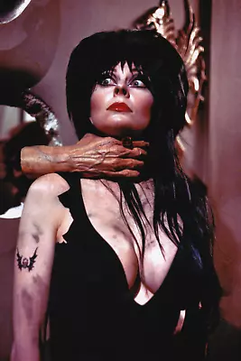 Elvira Mistress Of The Dark Hand Choke Poster • $20