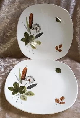 2 X Midwinter Stylecraft 24.5cm Dinner Plates RIVERSIDE Pattern Fashion Shape  • £12